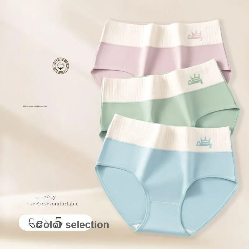 XISHE Underpants Women's Combo Set-5