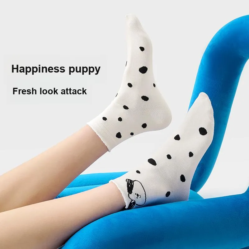 JKN Women's Socks-10