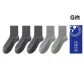 Medium Gray 3 Light Gray 2