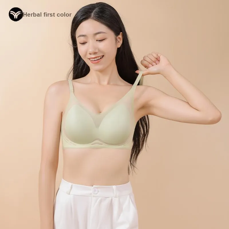 Herbal primer Women's Bras-13