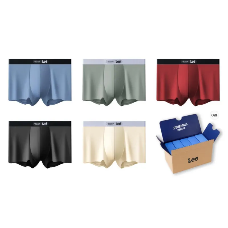 Lee Underpants Men's 5 Pack Gift Box Set-30