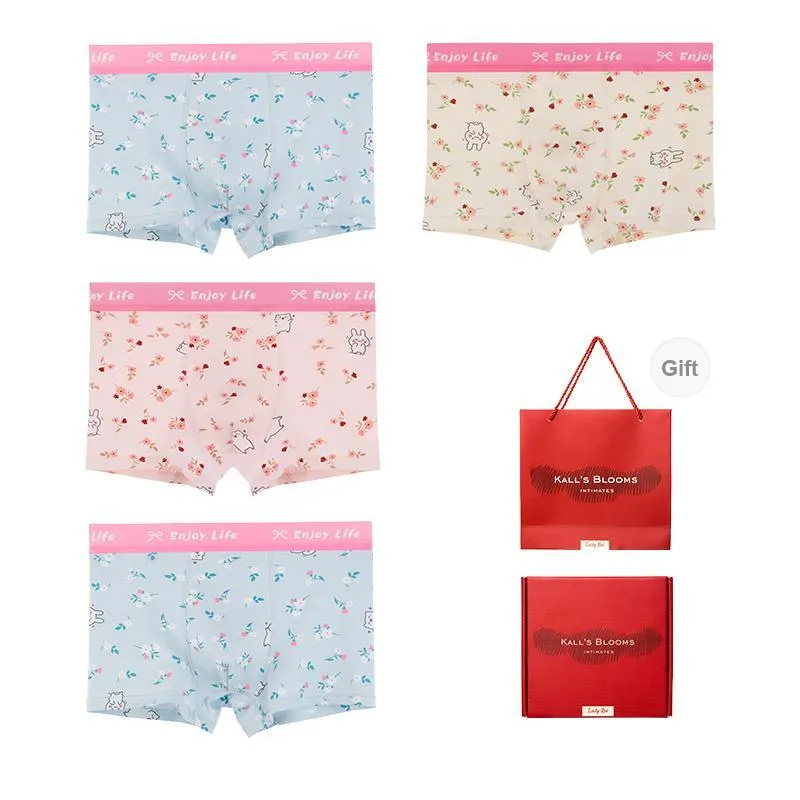 Maiden House Underwear Gift Box Men's Box 4 Pack-3