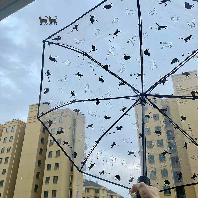 Pleasant language Umbrellas-15