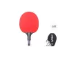 PA8009C[Long Handle Shakehand Grip 1 Pack]9-Star Competition-Level