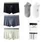 7A Grade Antibacterial Oyster Gusset[Black+Dusk Gray+off-White][100% cotton Ankle Socks X2 Pack]Gift Box Set