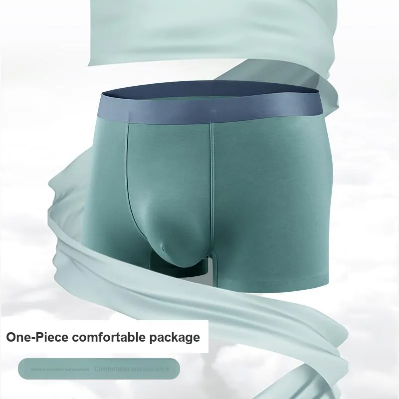 Ordifen SS24 Underpants Men's 4 Pack-5