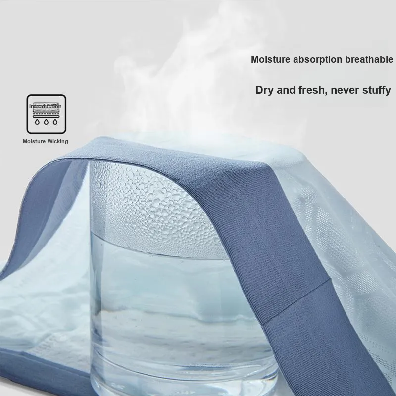 PLANDOO Underpants Men's 4 Pack-5