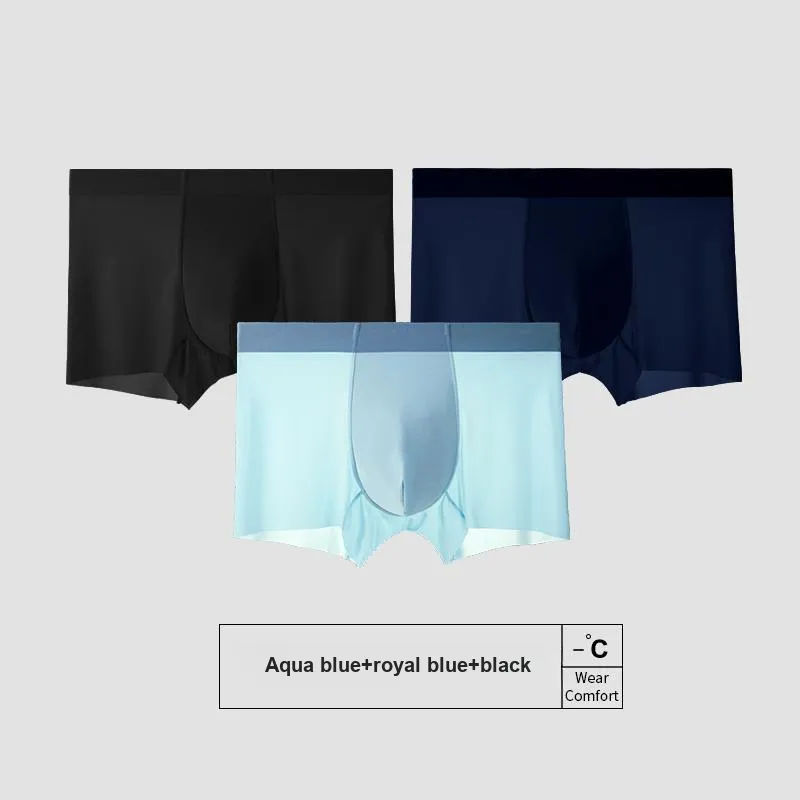Icolor Men Underpants-15