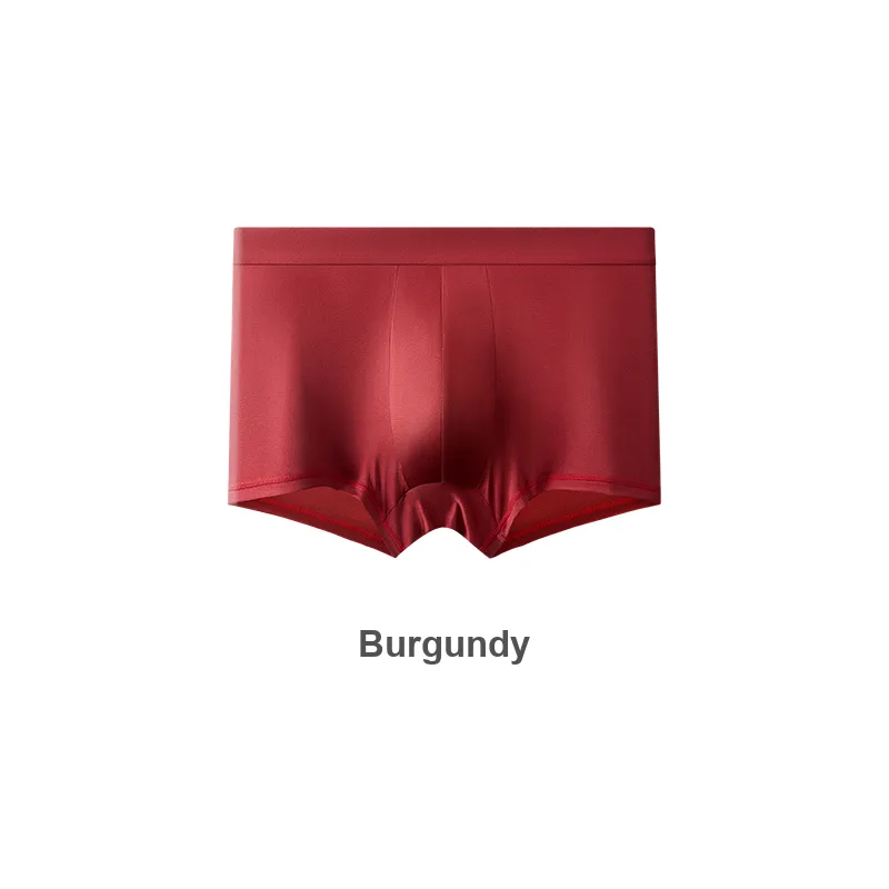 EFUTON Underpants Men's Combo Set-10