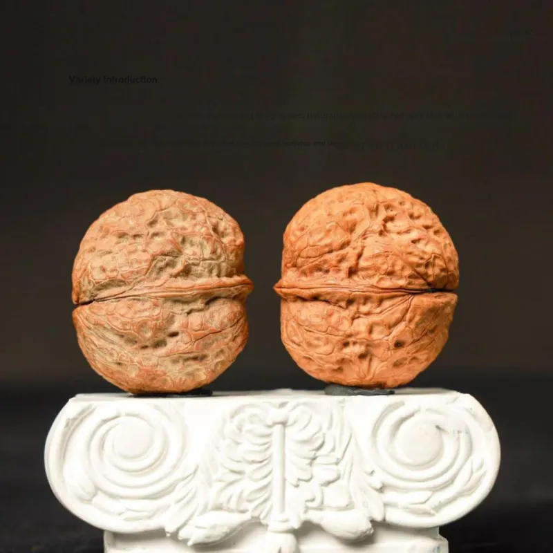 Xihe Core Creation Walnut Fine Handicraft Collectible Unisex-7