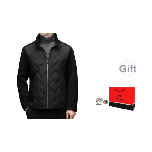 PIERRE CARDIN Мужские Пуховики