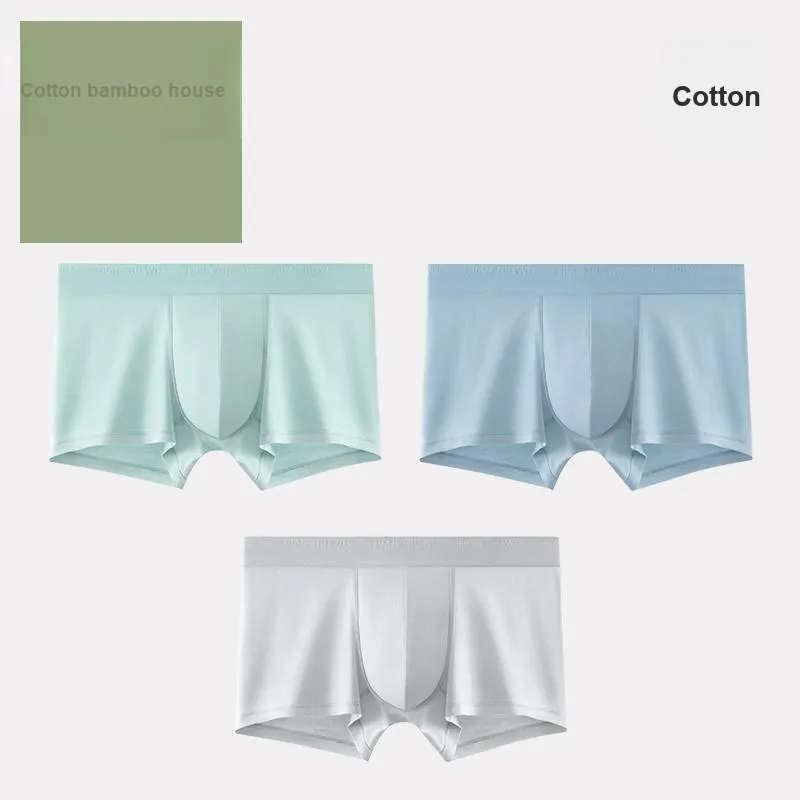 B&C.Room Underpants Spring/summer Models Men's 3 Pack-5