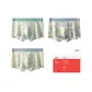 Bougainvillea Leaf/Willow Leaf/Small Tree