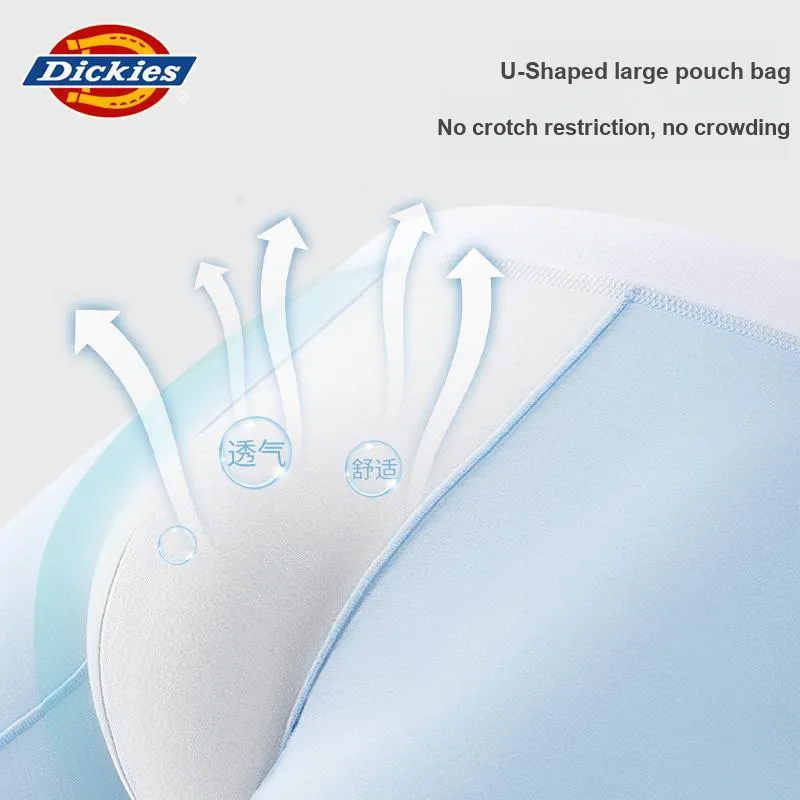 Dickies Underpants Men's Box 3 Pack-6