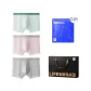 Light Gray/Light Green/Light Pink (10A Antibacterial/Mint) 9786