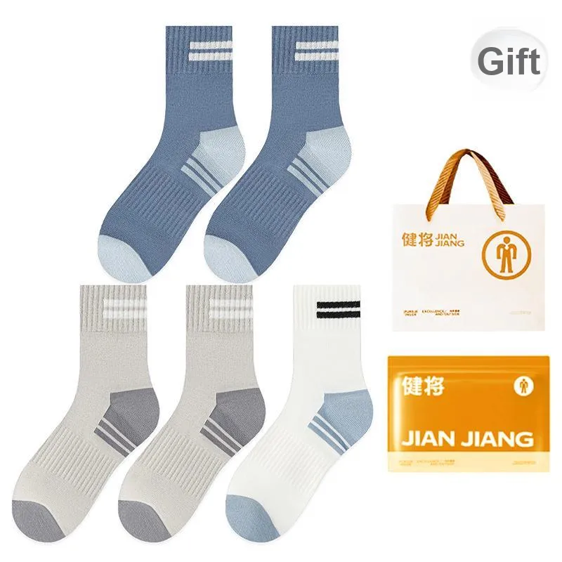 Master Mid Calf Socks Men's Box 5 Pack-15