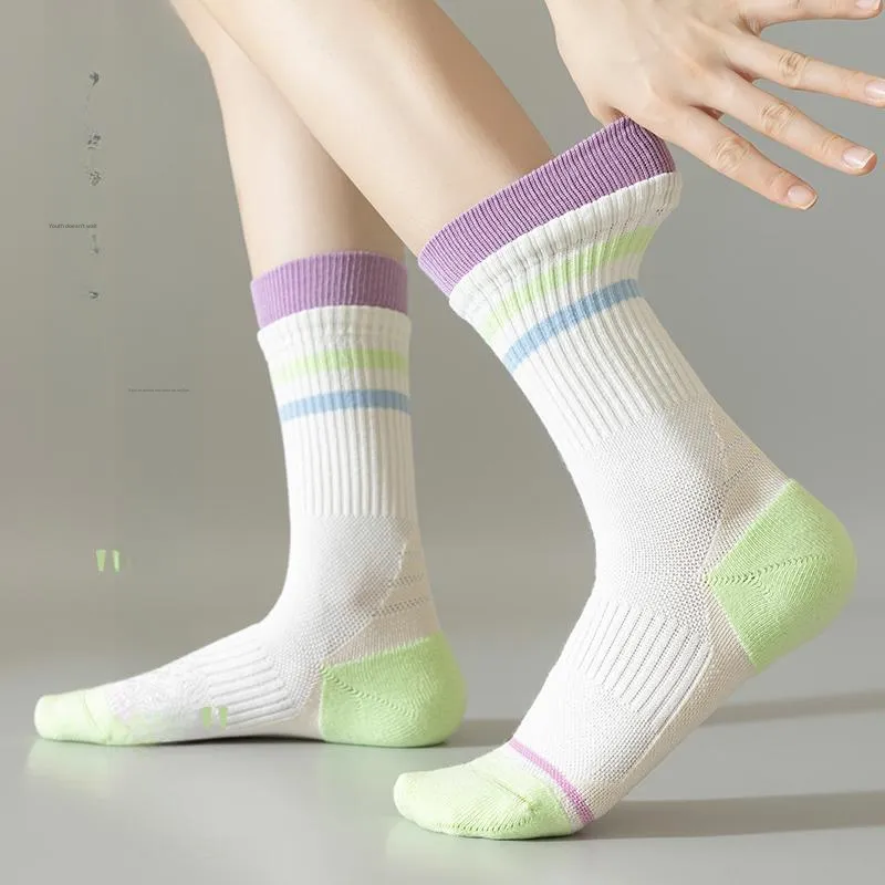 Beerus Mid Calf Socks Women's 4 Pack-9
