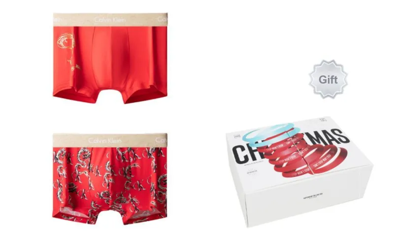CALVIN KLEIN Year Of The Dragon Limited Series Underpants Men's 2 Pack-1