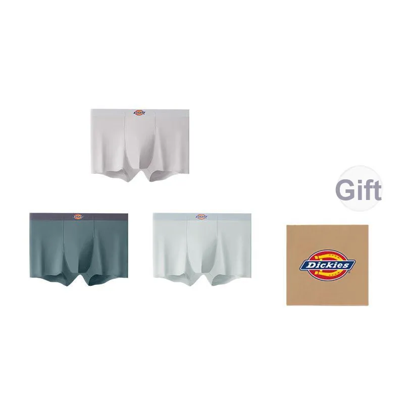 Dickies Underpants Men's Box 3 Pack-6