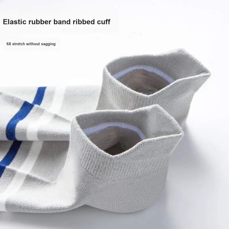 Lanza Men Socks-15