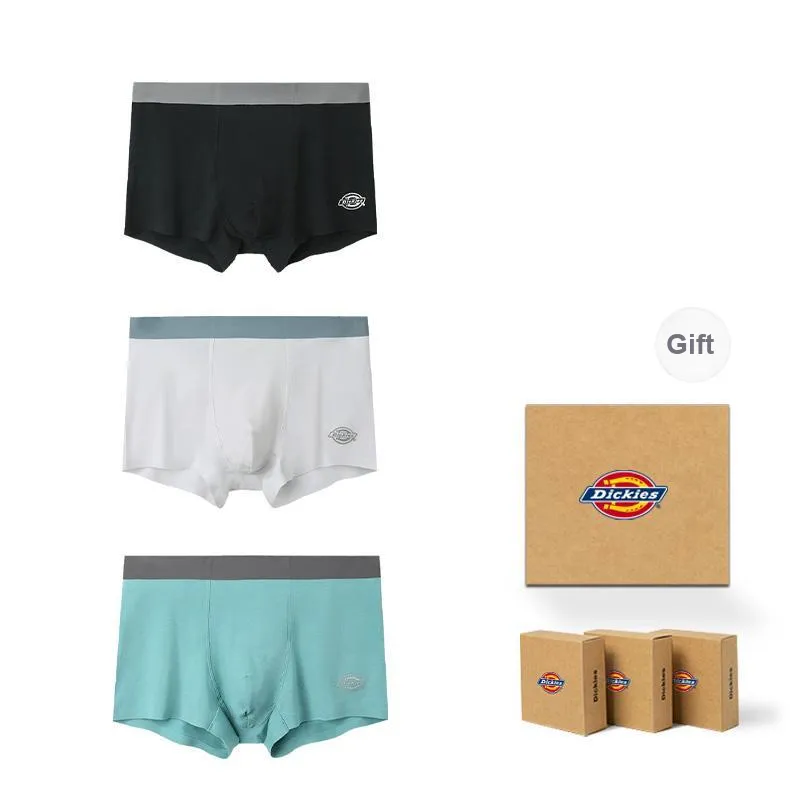 Dickies Underpants Men's Modal Cotton Premium Flat Box Combo Set-8