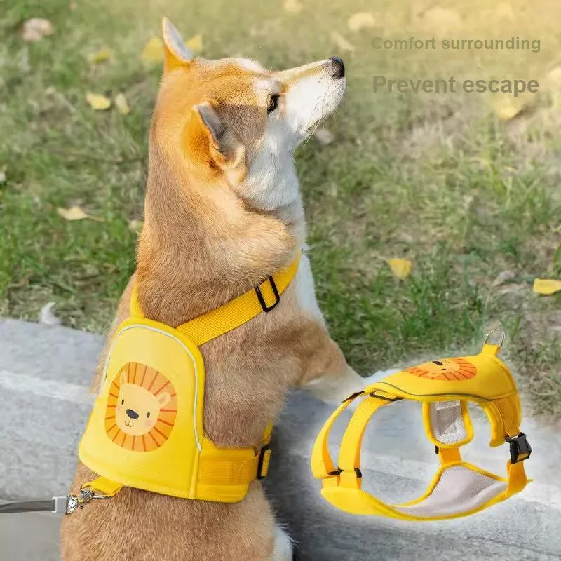 Hippie dogs Leashes-1