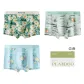3 Pack[Summer Floral+Fresh Planner+Lemon Ice Cubes]