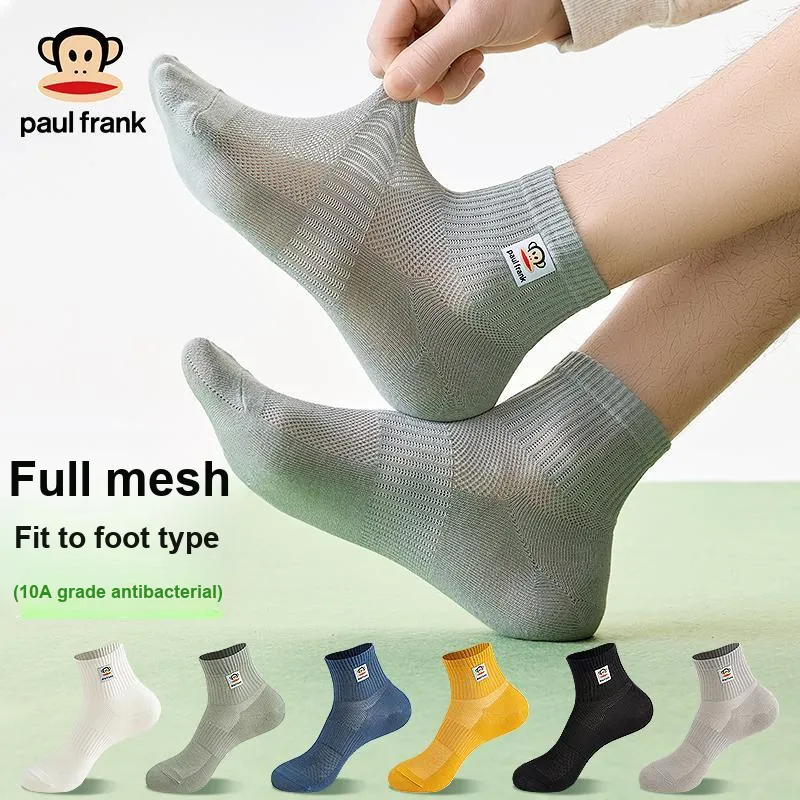 PAUL FRANK Mid Calf Socks Men's Box 5 Pack-6