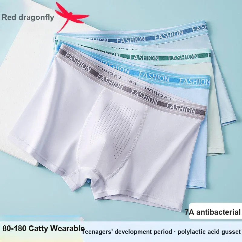 RED DRAGONFLY Cotton Panties Men's 4 Pack-5