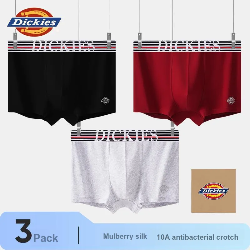 Dickies Underpants Men's Combo Set-19
