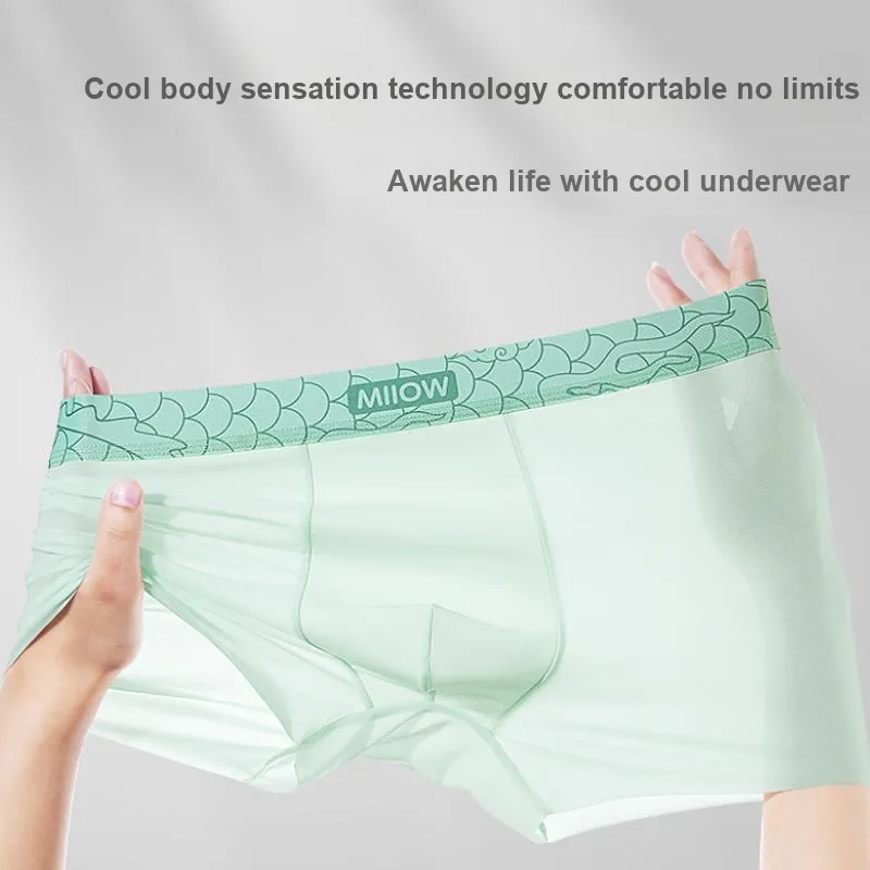 MIIOW Underpants Men's Box 3 Pack-26