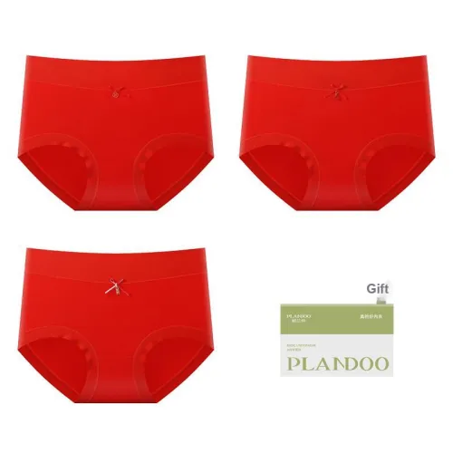 PLANDOO Underpants Women's Shopping Bag 3 Pack