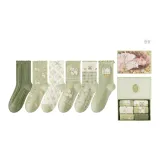 선물 포장 6팩 (콤보 4)