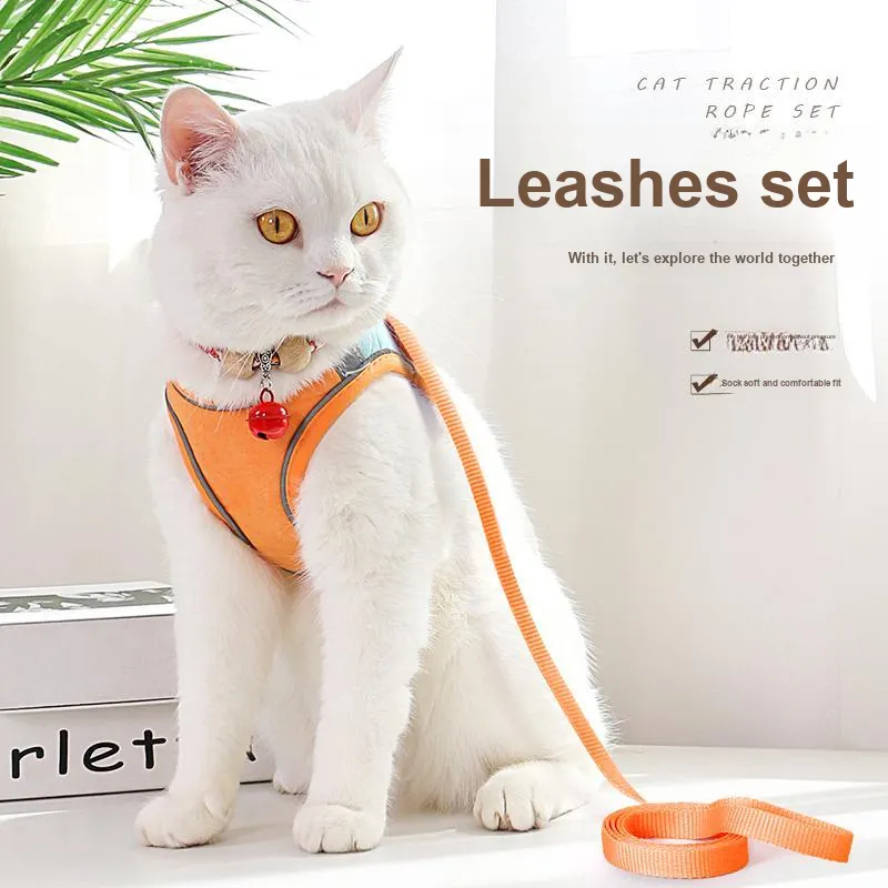 Pampering Leashes-6