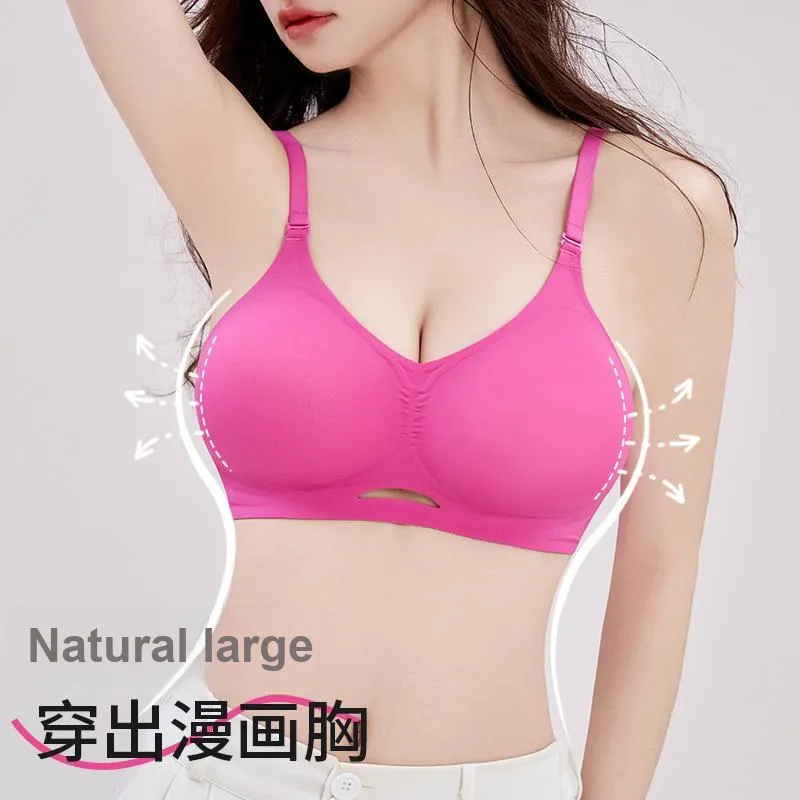 Herbal primer Women's Bras-1