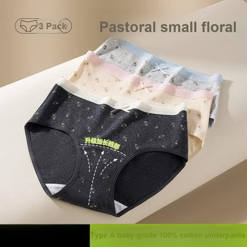 2323 Underpants Women's Combo Set-1