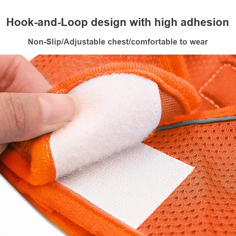 Pampering Leashes-19