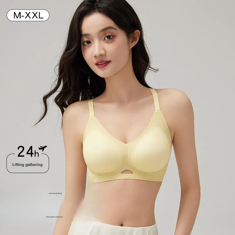 David Women's Bras-15
