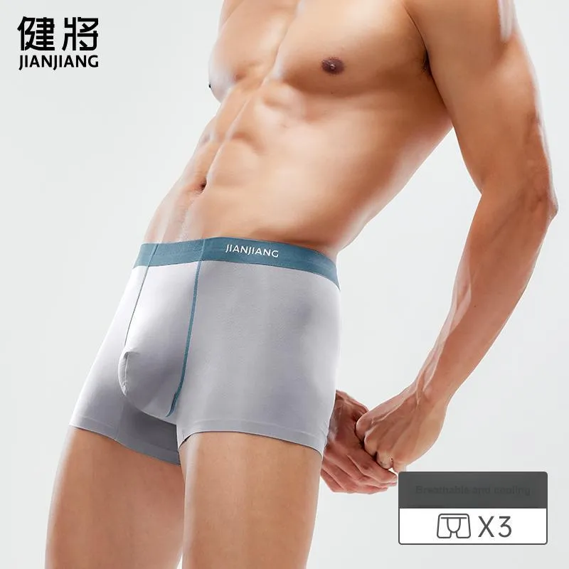 Master Men Underpants-1