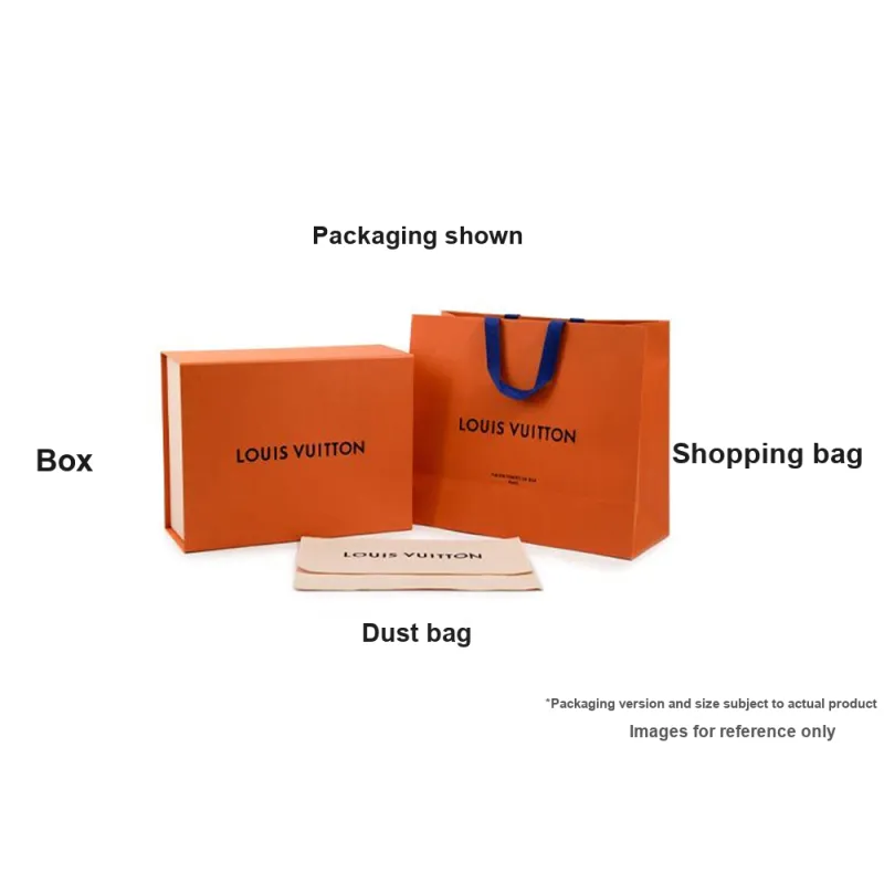 LOUIS VUITTON ENVELOPE POUCH Raffia Envelope Bag, Shoulder Bag, Crossbody Bag Women's Natural-4