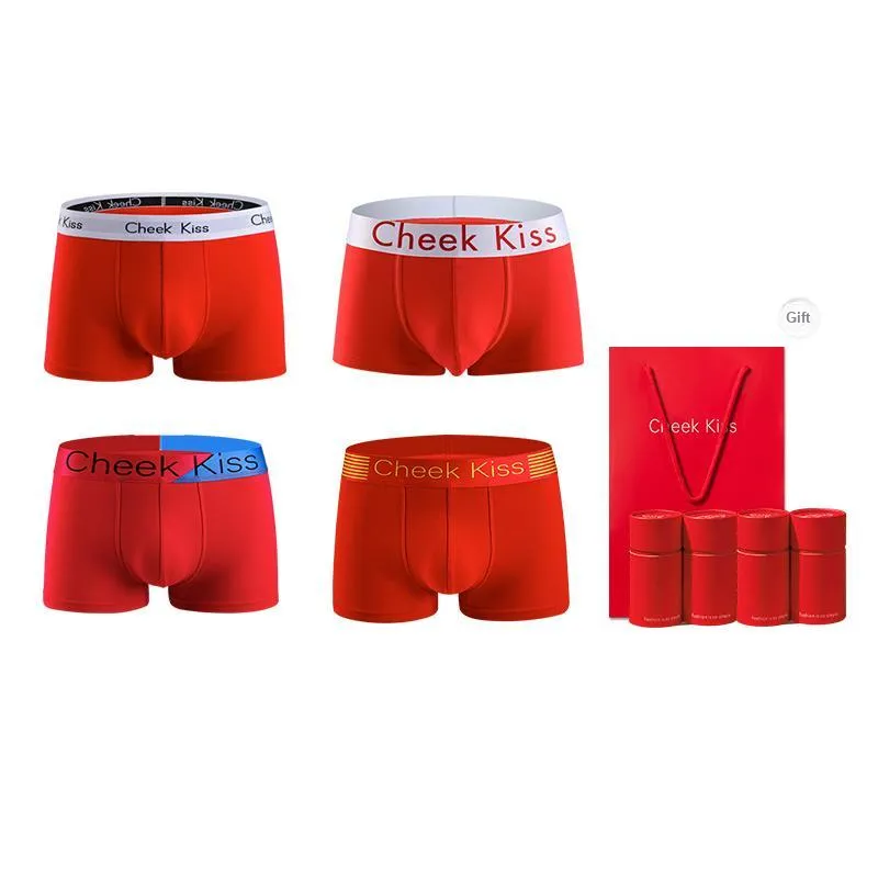 Cheekkiss Underwear Gift Boxes Men's Box 4 Pack-15