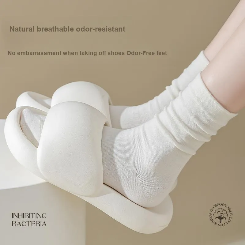 Caramella Mid Calf Socks Women's Combo Set-24