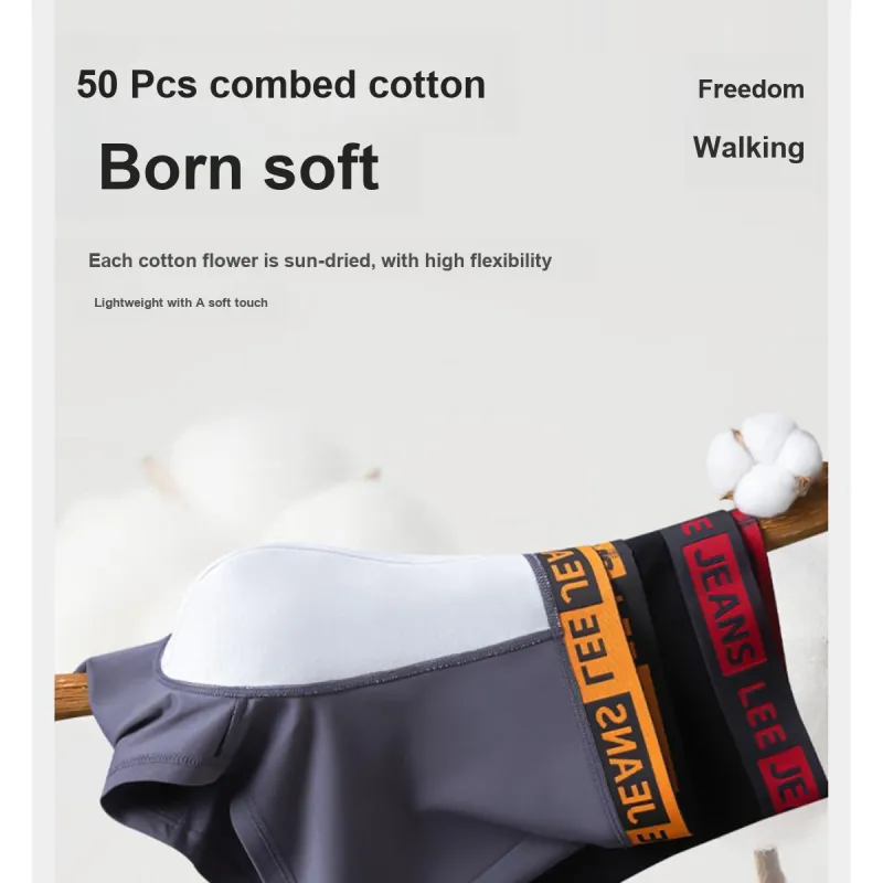 Lee Underpants Men's Box 5 Pack-14