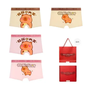 Maiden House Underwear Gift Boxes Men's 4 Pack