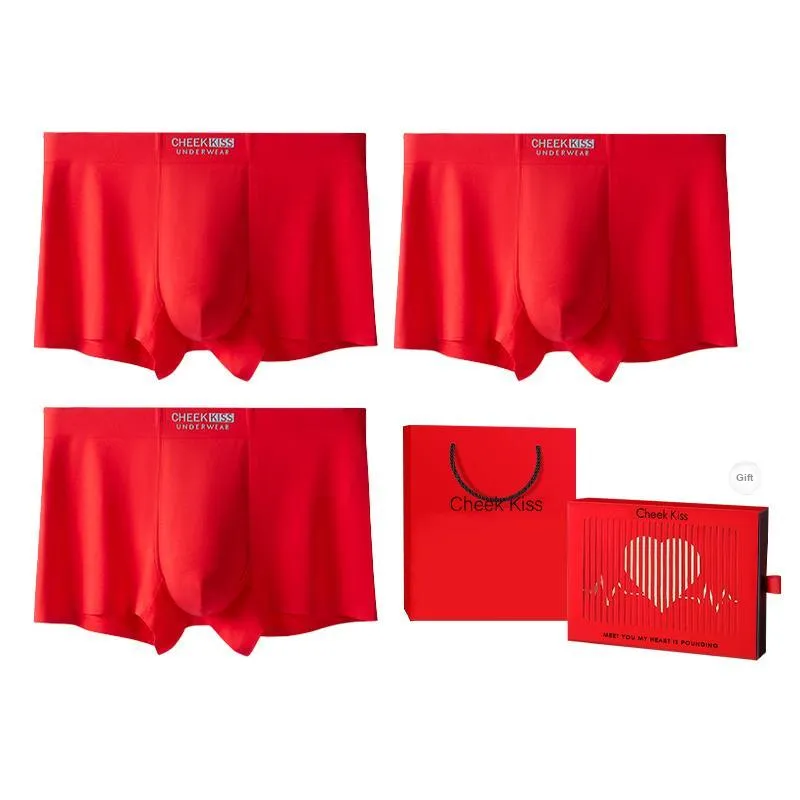 Cheekkiss Underpants Men's Box 3 Pack-5