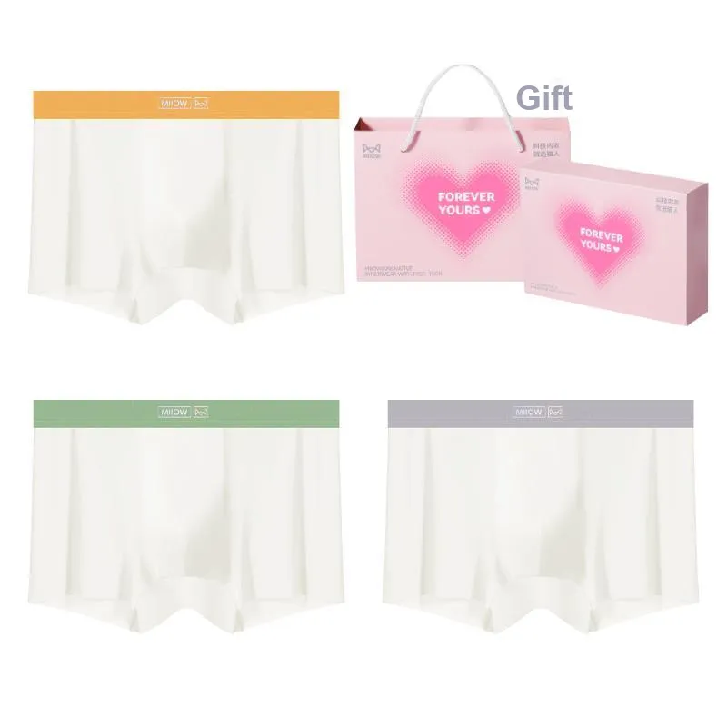 MIIOW Underpants Men's Box 3 Pack-22