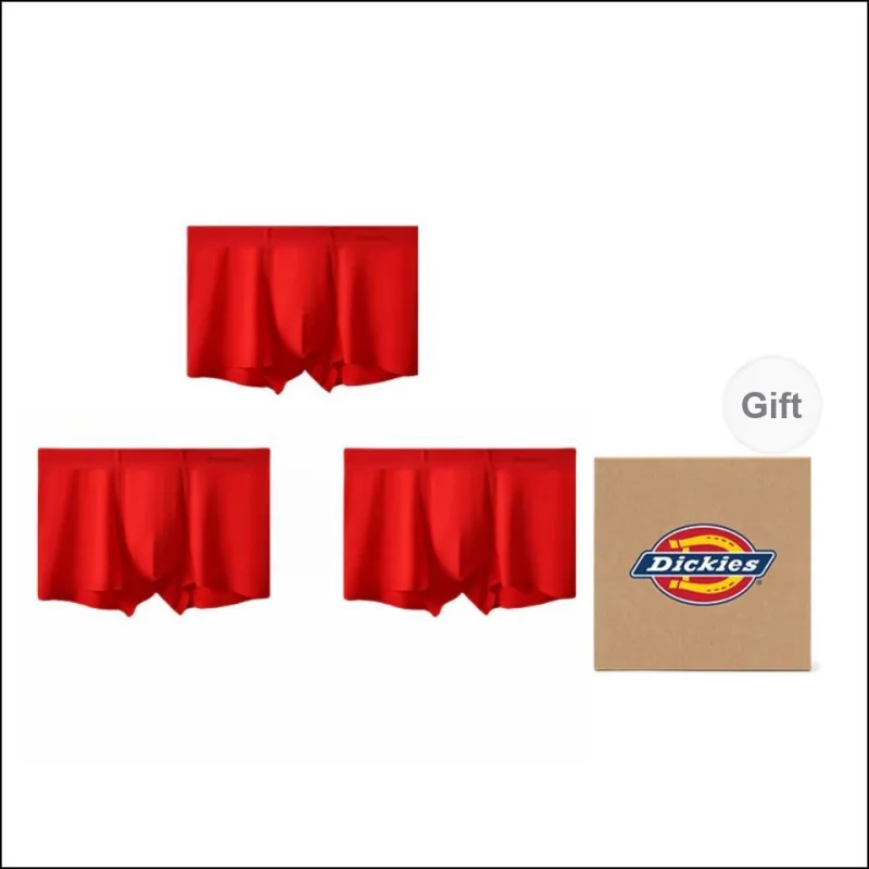 Dickies Comfortable Extra Thin Quick Dry Seamless Underpants Men's-30