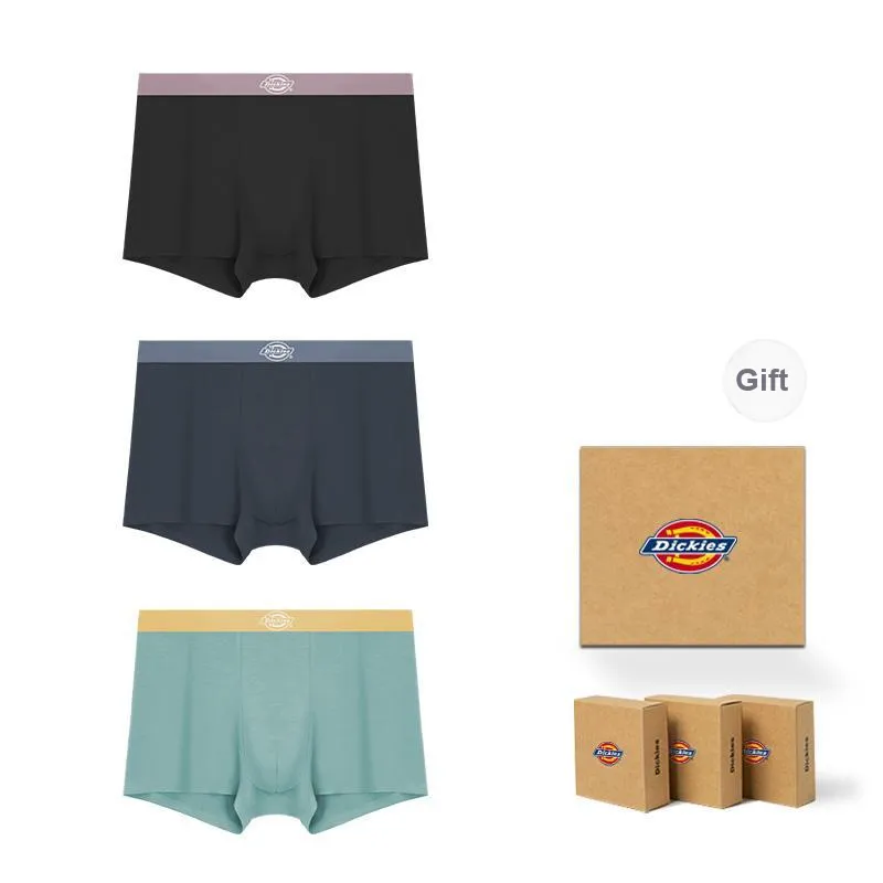 Dickies Underpants Men's Box 3 Pack-33
