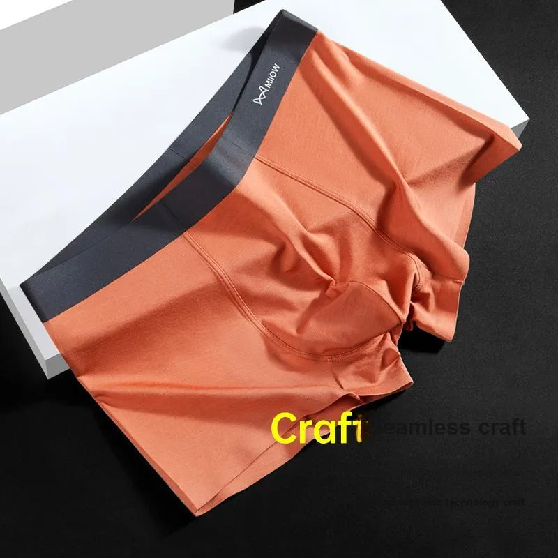 MIIOW Men Underpants-10