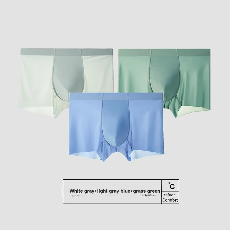 Icolor Men Underpants-5